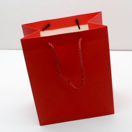 Sacola de Papel (G) / 18x10x23cm - (unidade)
